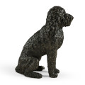 Henry labradoodle