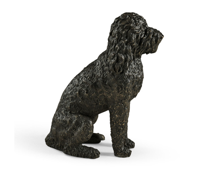 Henry labradoodle