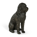 Henry labradoodle