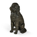 Henry labradoodle