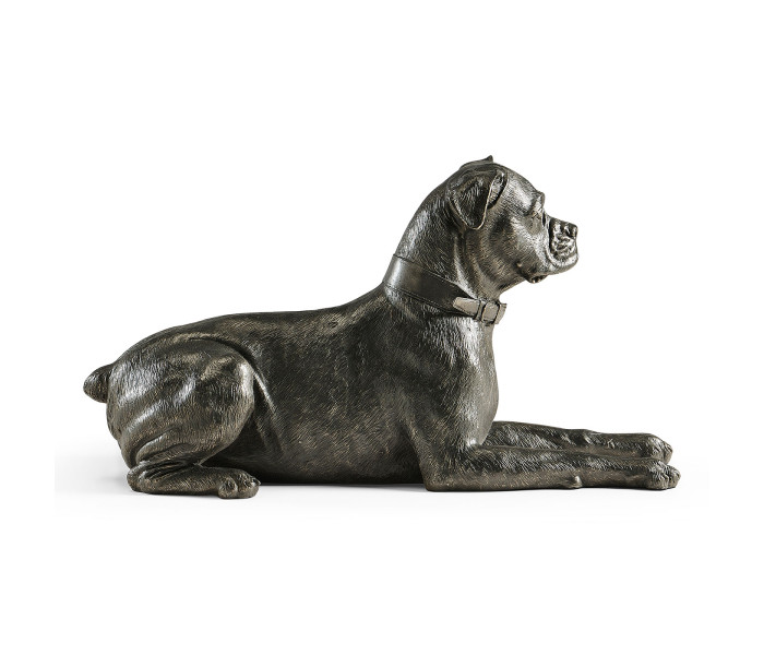 Bella boxer lying - large