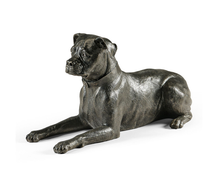 Bella boxer lying - large