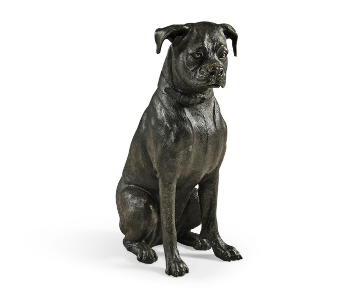 Bella boxer sitting - large