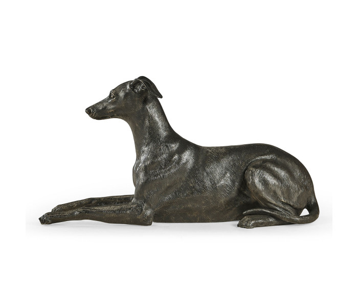 Whippet standing no collars