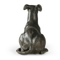 Whippet standing no collars