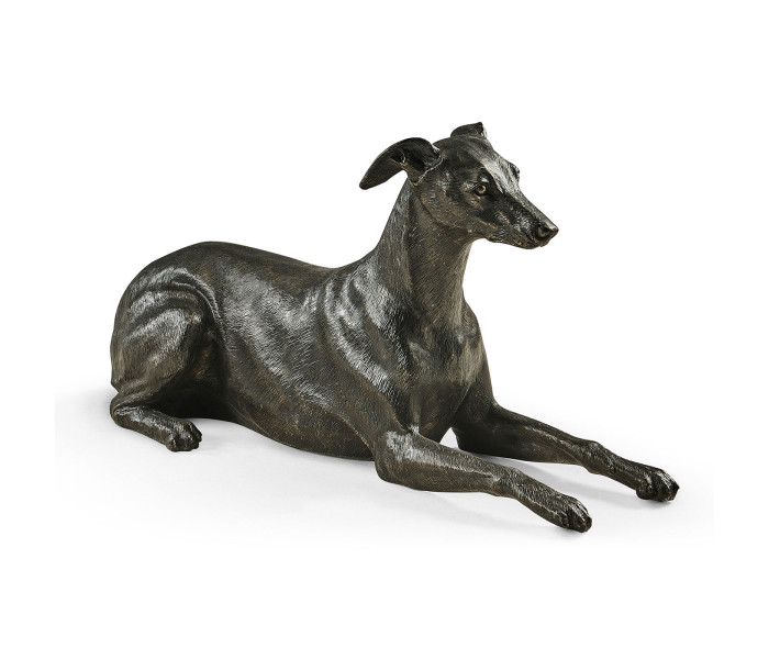 Whippet standing no collars