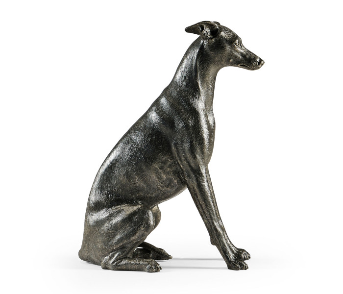 Whippet sitting no collars