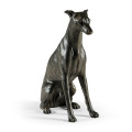 Whippet sitting no collars