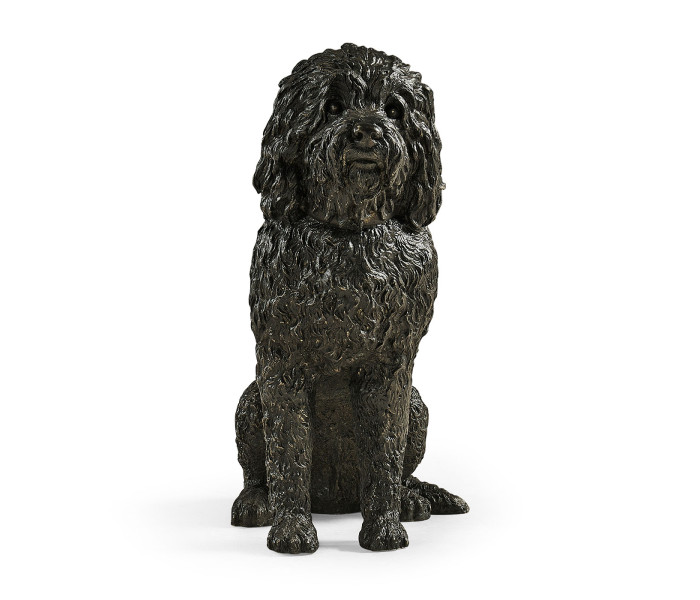 Harry labradoodle