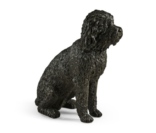 Harry labradoodle