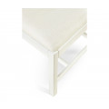 Spark Chippendale White Side Chair