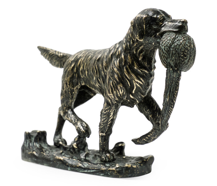 Dark Bronze Golden Retriever Dog