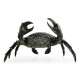 Dark Bronze Crab