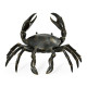 Dark Bronze Crab