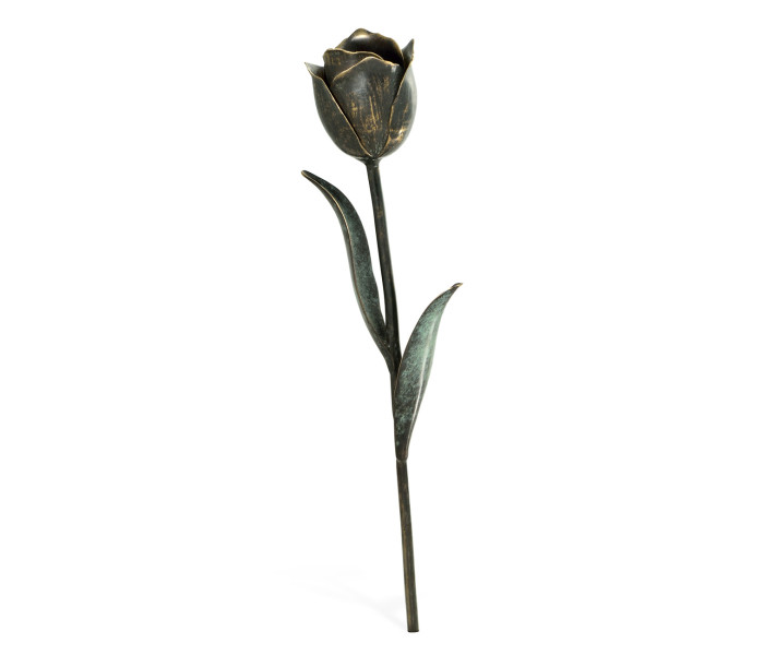 Dark Bronze Tulip Flower