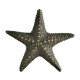 Dark Bronze Starfish