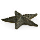 Dark Bronze Starfish