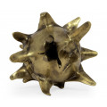 Antique Brass Dragon Fruit