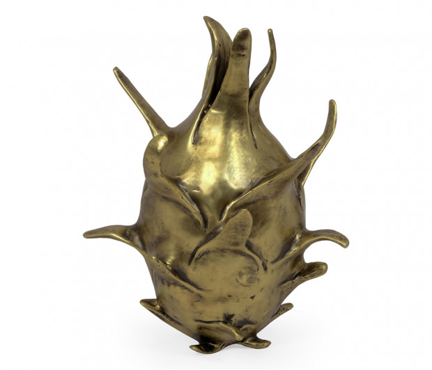 Antique Brass Dragon Fruit Antique Brass Dragon Fruit