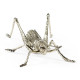 White Brass Grasshopper