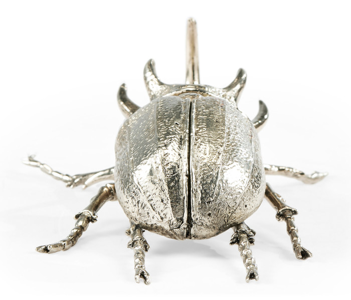 White Brass Five–Horned Rhinoceros Beetle
