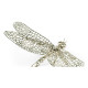 White Brass Dragonfly