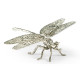 White Brass Dragonfly