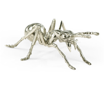 White Brass Ant