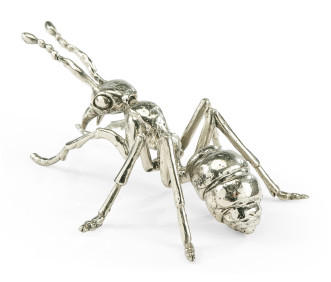 White Brass Ant
