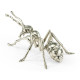 White Brass Ant