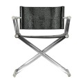 Director chair