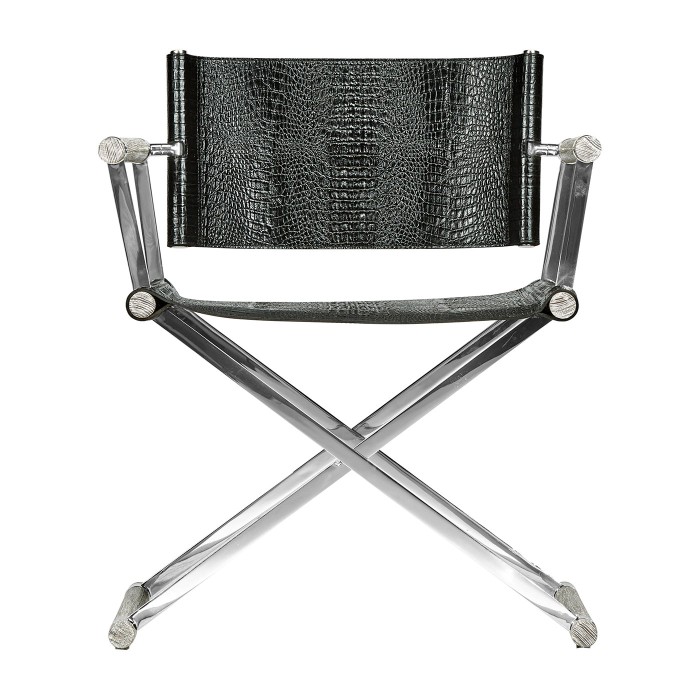 Director chair