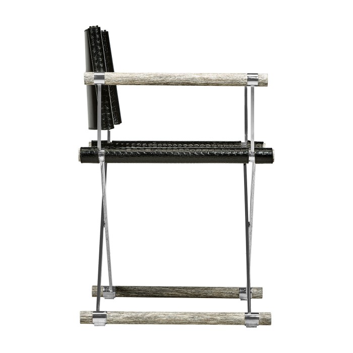 Director chair