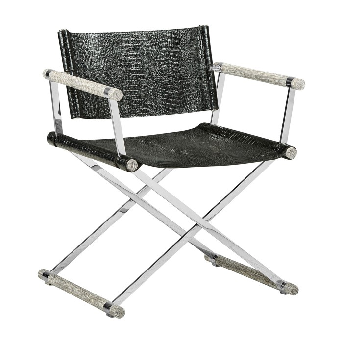 Director chair