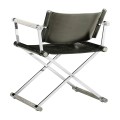 Director chair