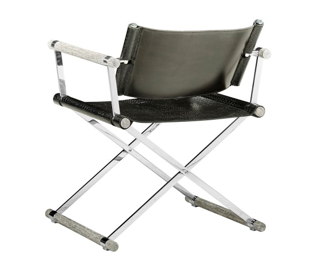 Director chair
