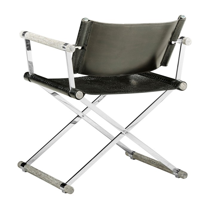 Director chair