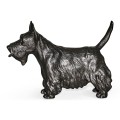 Scottish terrier