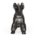 Scottish terrier