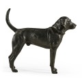 Foxhound