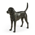 Foxhound