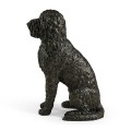 Henry labradoodle