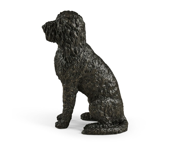 Henry labradoodle