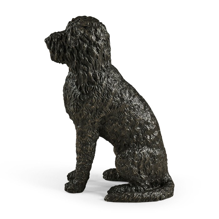 Henry labradoodle