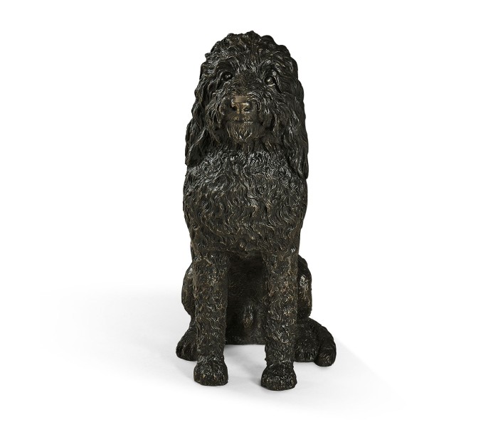 Henry labradoodle