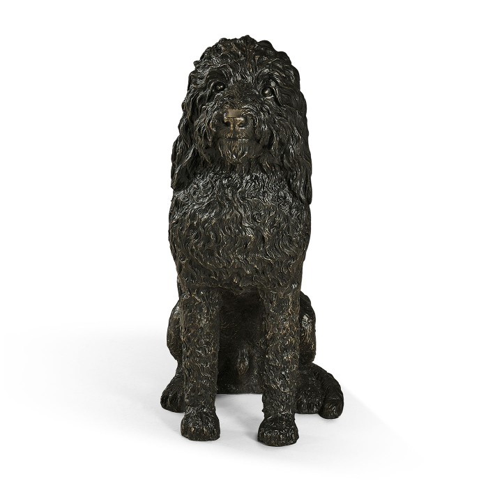 Henry labradoodle