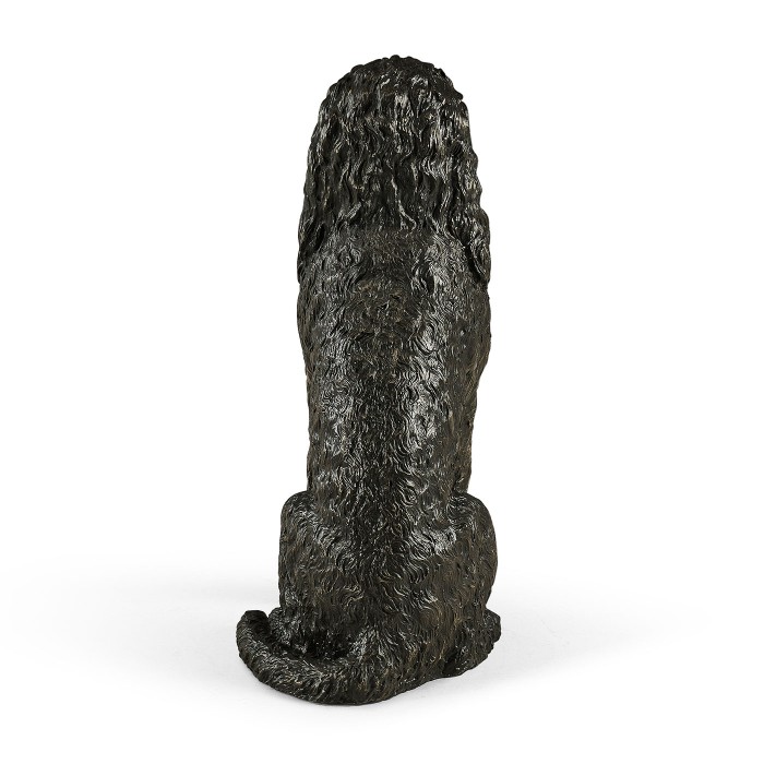 Henry labradoodle