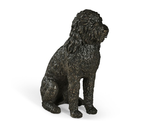 Henry labradoodle