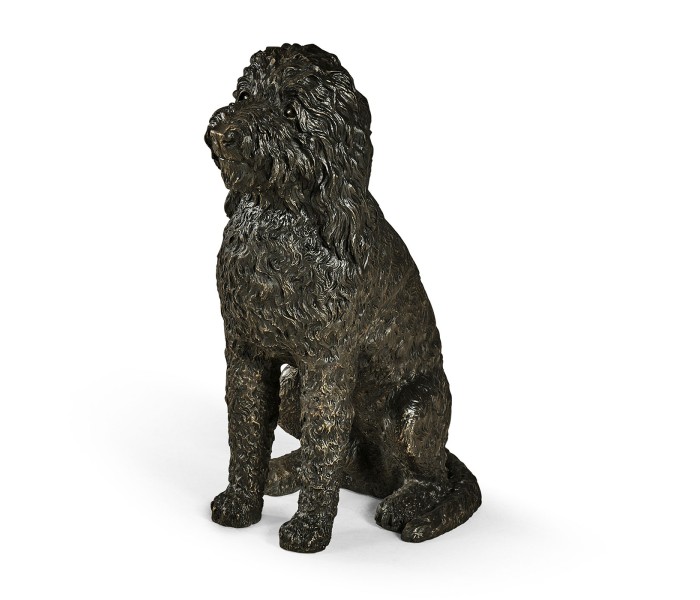 Henry labradoodle