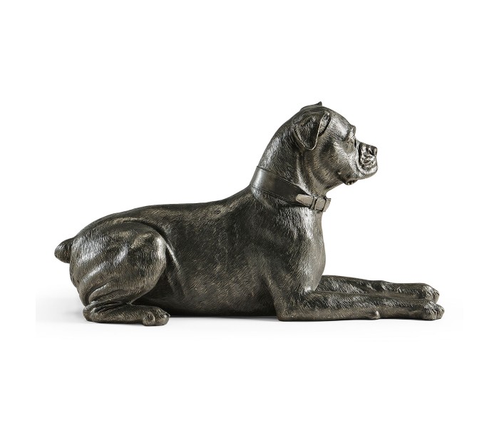 Bella boxer lying - large